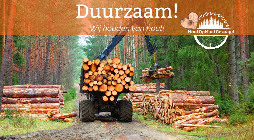 verantwoorde houtkap in duurzaam bos hout